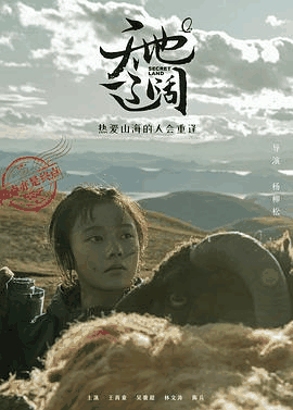 66电影网_《天地辽阔》电影海报在线看
